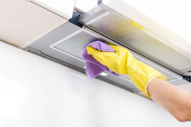 Best Air Duct Mold Removal  in El Cerro, NM